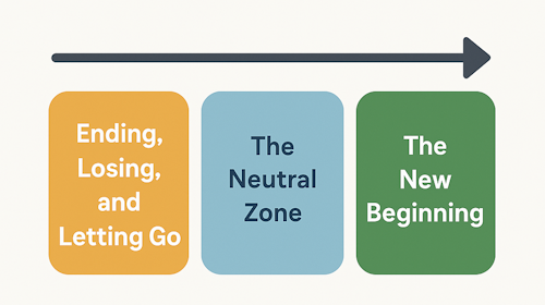 Bridges' Transition Model